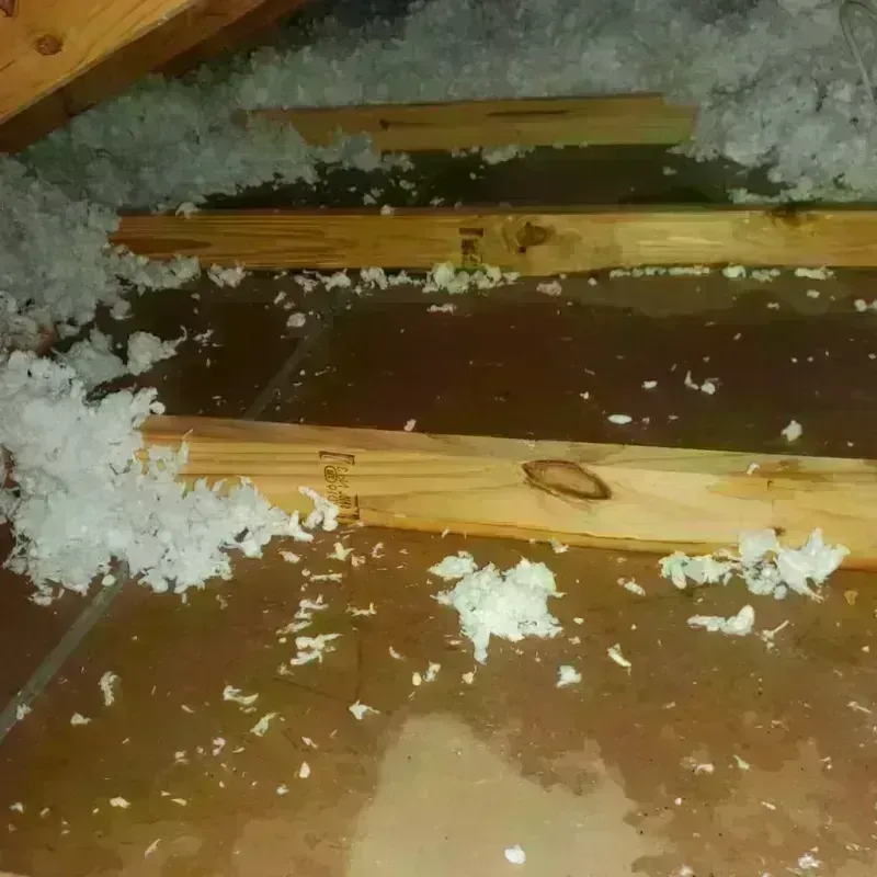 Attic Water Damage in Midway South, TX