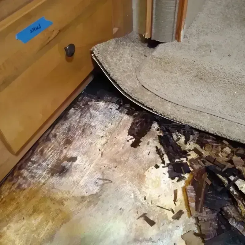 Wood Floor Water Damage in Midway South, TX